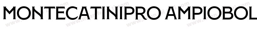 MontecatiniPro AmpioBold字体转换